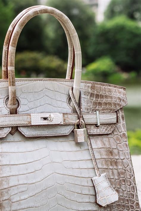 hermes birkin himalayan bags|hermes himalayan birkin owners.